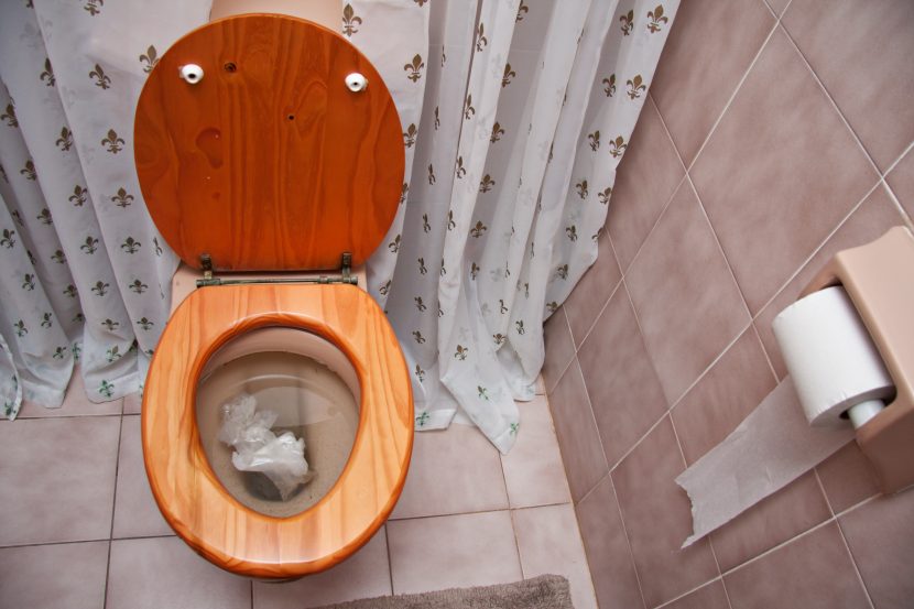 WC Toillete Verstopft Abflussreinigung