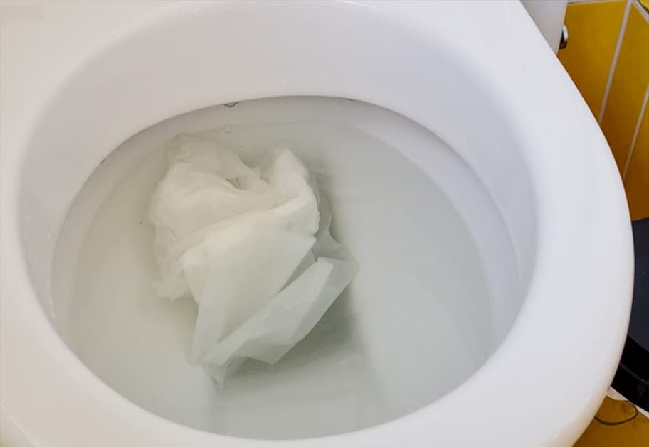 WC Verstopft Abflussreinigung