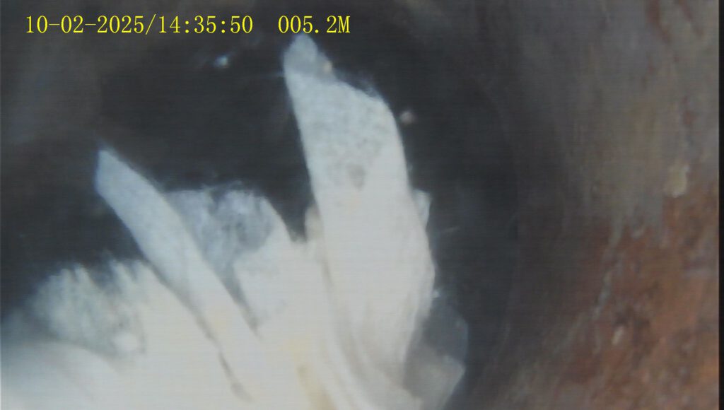 Kamerabild eines verkrusteten Abwasserrohrs mit Staunässe.