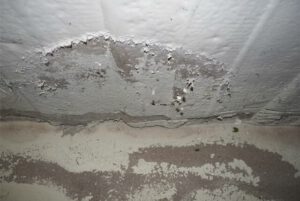 Feuchte Kellerdecke