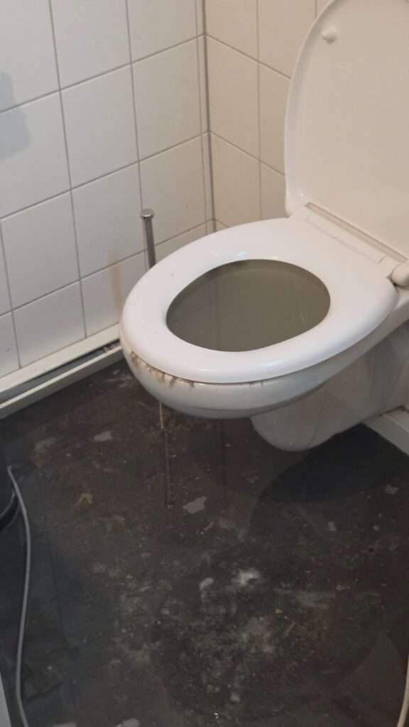 WC mit Rückstau durch Feuchttücher und Ablagerungen in Rheinfelden (Baden).