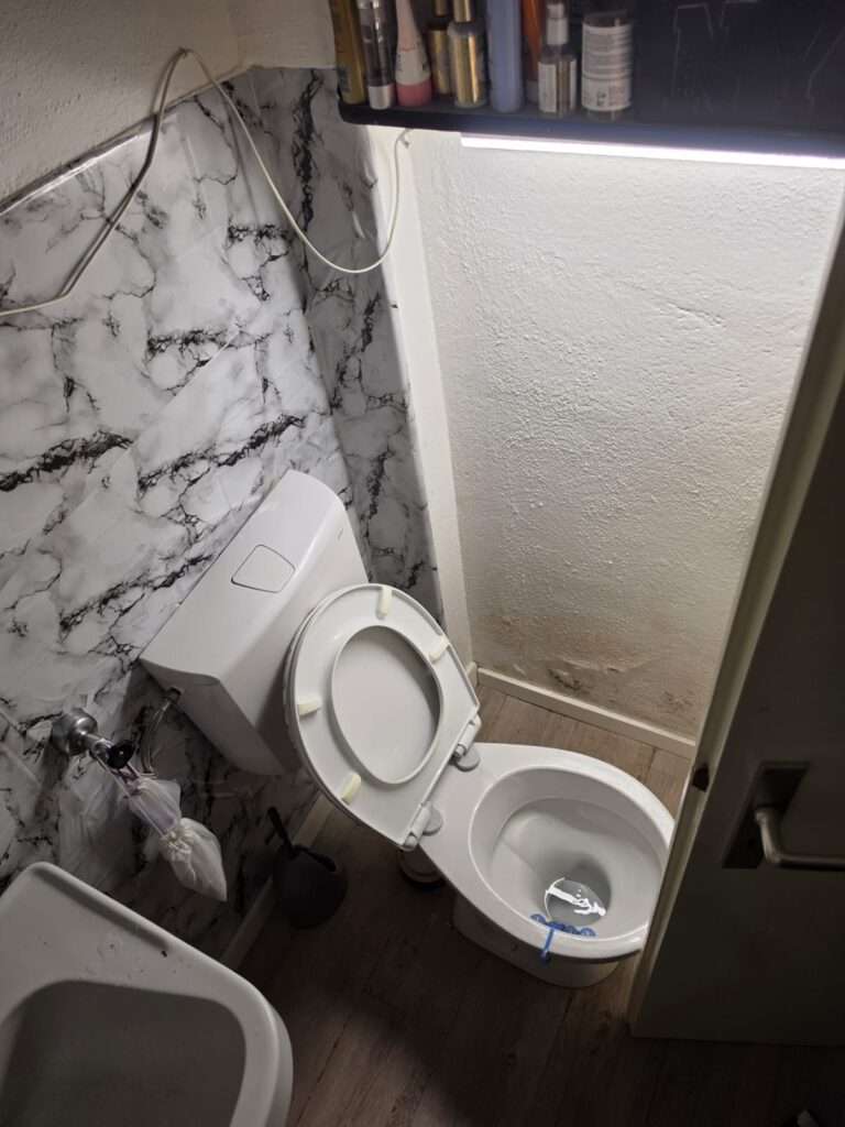 WC und Bad nach erfolgreicher Rohrreinigung in Lörrach